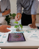 Consultancy 4